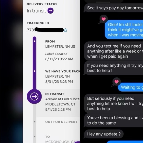 SCAMMER - Picture 4 of 8